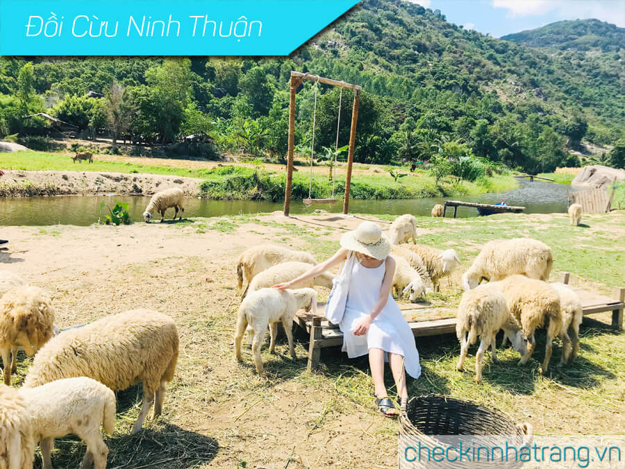 Đồi Cừu Ninh Thuận